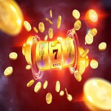 312bet6