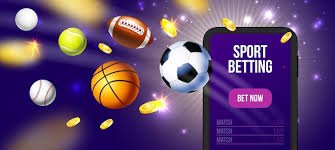 312bet6