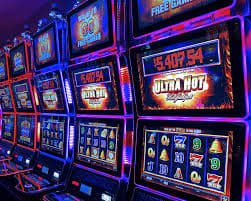 312bet6 312bet6